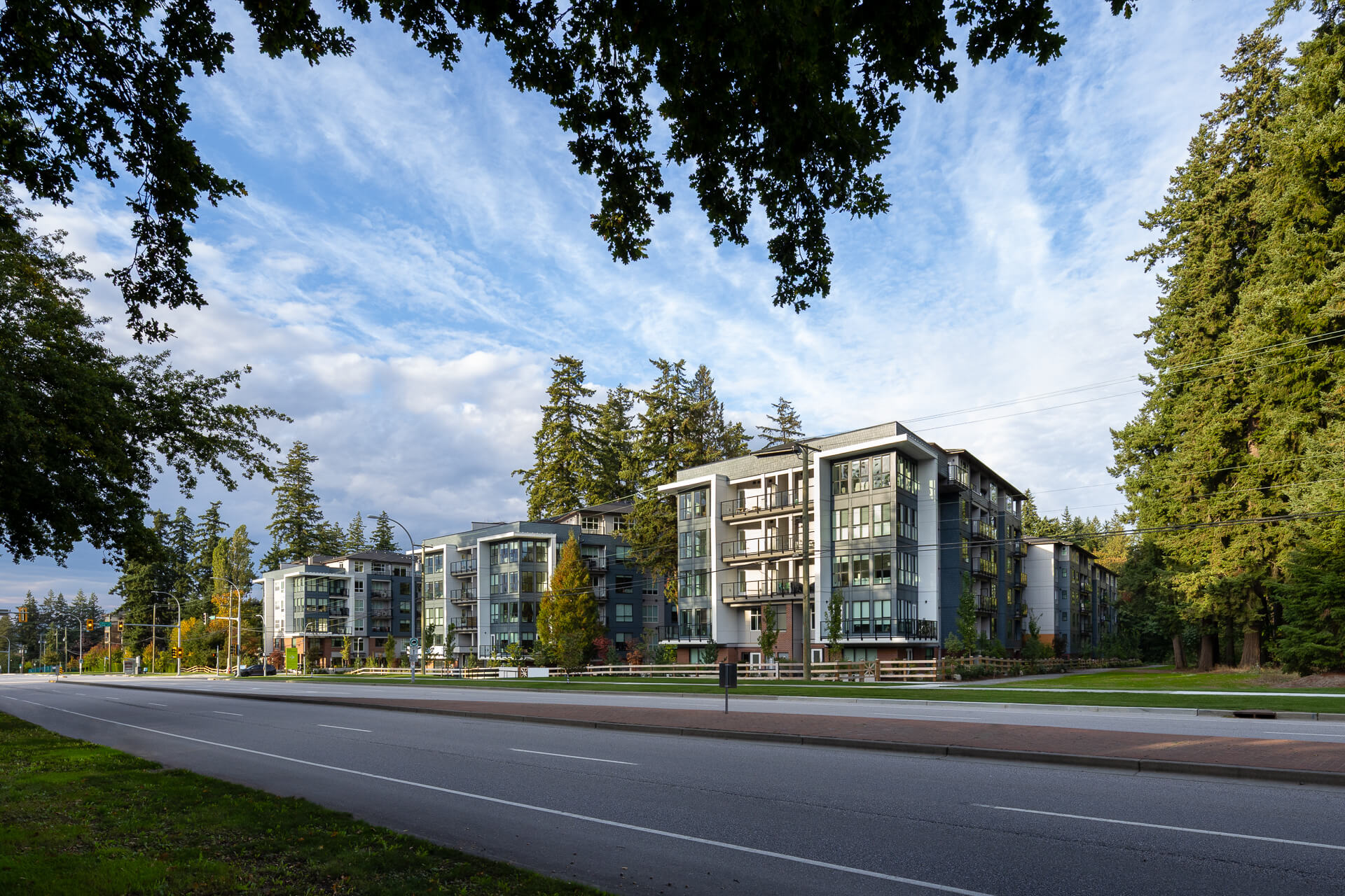 Wide-angle street view of The Commons condominium buildings by Zenterra Developments in Surrey, featuring modern architecture framed by a lush green tree canopy under a blue sky