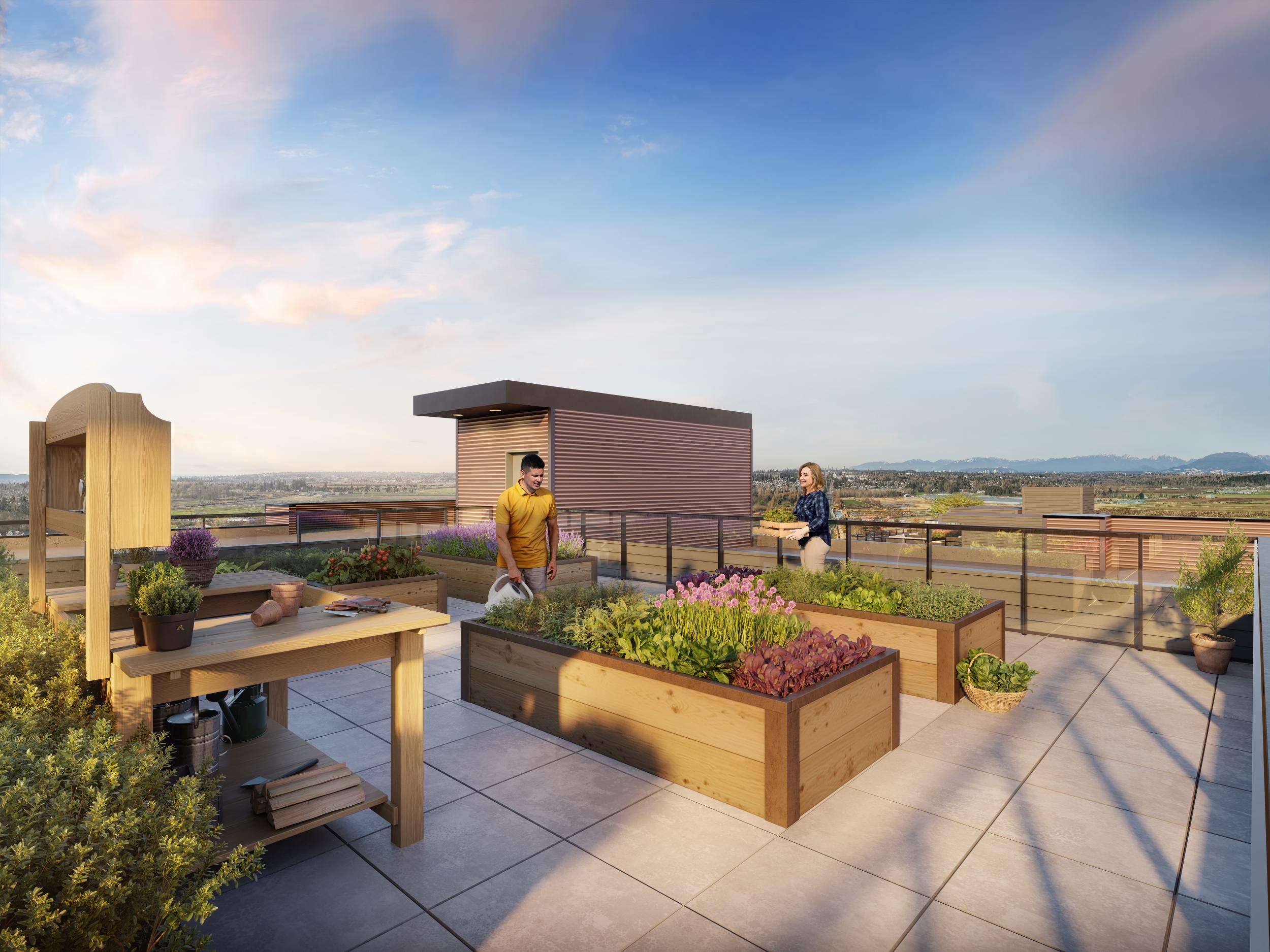 Rooftop community garden planters and outdoor amenity space at Clayton Crest
